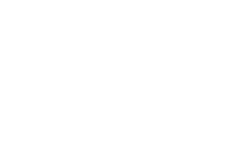 Logo60